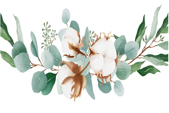 Australian Prime Cotton